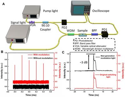 Graphdiyne-Coated Microfiber All-Optical Temporal Modulator Based on Saturable Absorption